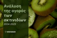 Ανάλυση της αγοράς των ακτινιδίων: Μελέτη των τιμών 2024-2025